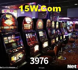 Experiência VIP 3976